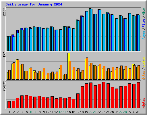 Daily usage for January 2024