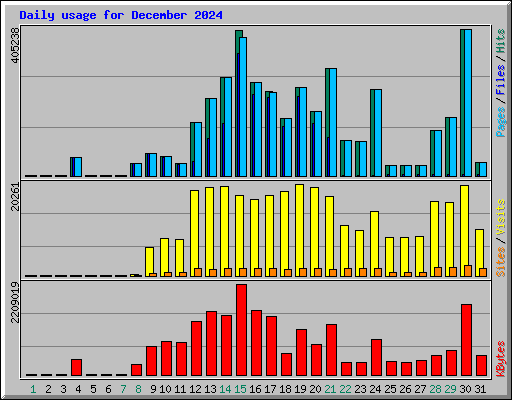 Daily usage for December 2024