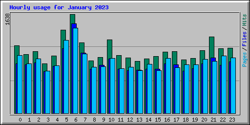 Hourly usage for January 2023