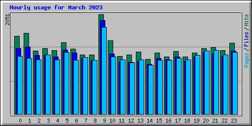 Hourly usage for March 2023
