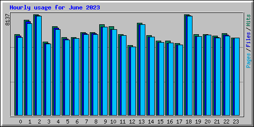 Hourly usage for June 2023
