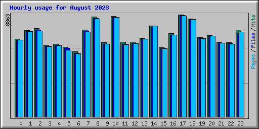 Hourly usage for August 2023