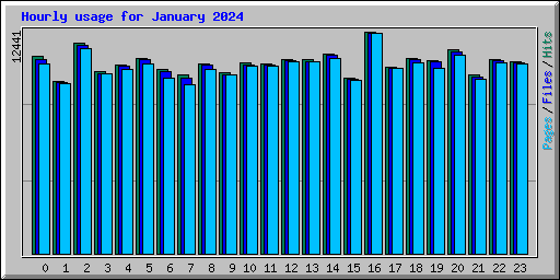 Hourly usage for January 2024