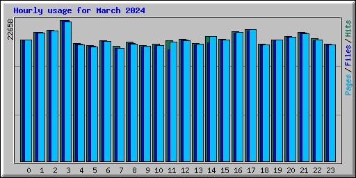 Hourly usage for March 2024