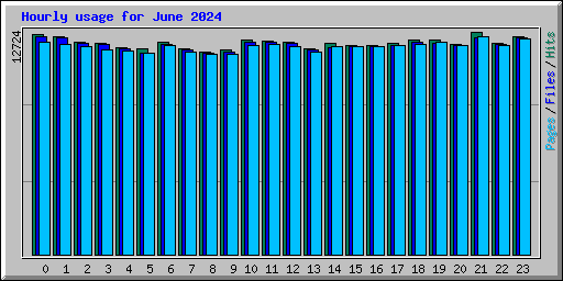 Hourly usage for June 2024