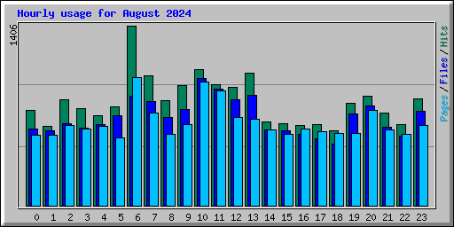 Hourly usage for August 2024