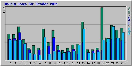 Hourly usage for October 2024