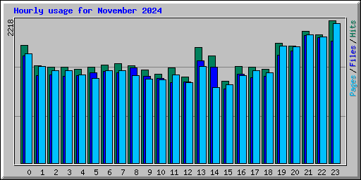 Hourly usage for November 2024