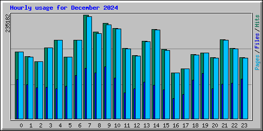 Hourly usage for December 2024
