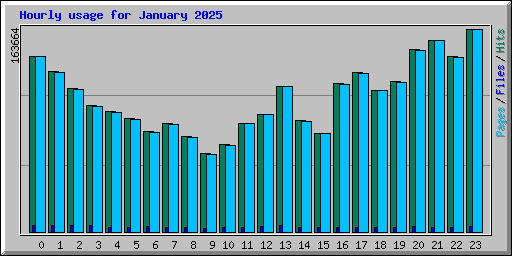 Hourly usage for January 2025