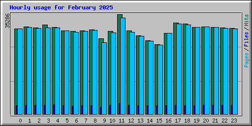 Hourly usage for February 2025