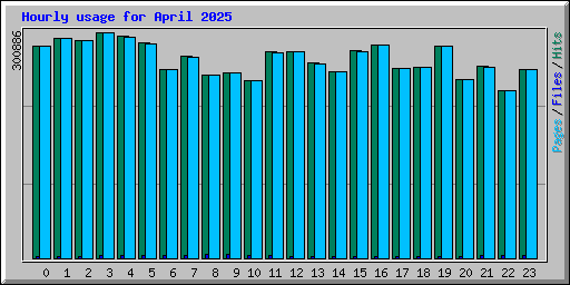 Hourly usage for April 2025