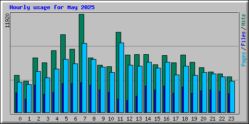 Hourly usage for May 2025