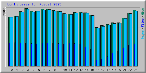 Hourly usage for August 2025