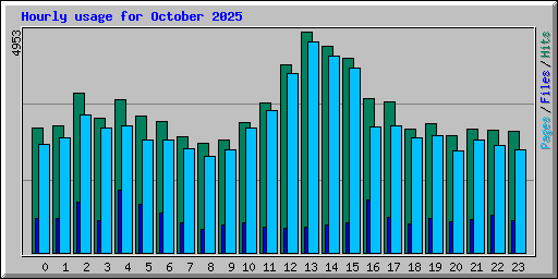 Hourly usage for October 2025