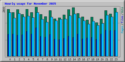 Hourly usage for November 2025