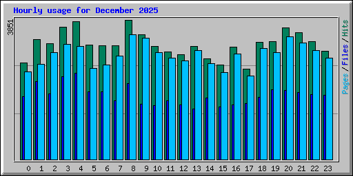 Hourly usage for December 2025