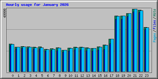 Hourly usage for January 2026
