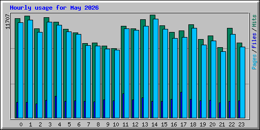 Hourly usage for May 2026